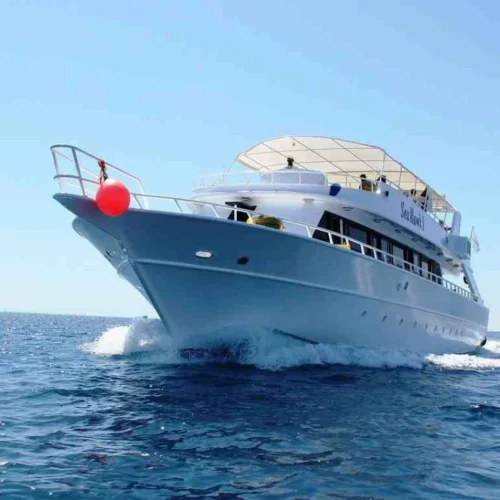 Private Bootstour zum Schnorcheln