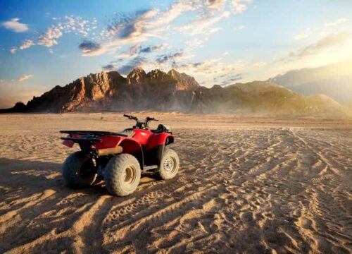Moto Safari Afternoon