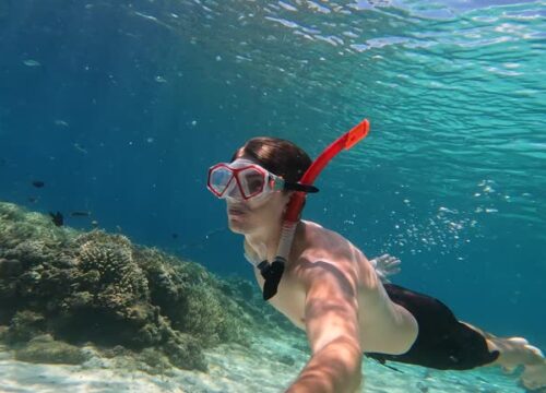 Snorkeling in Sharm El Naga