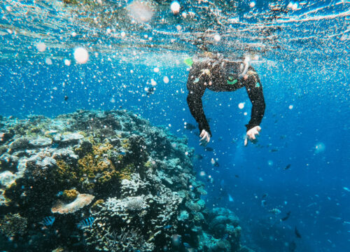 Snorkeling on Utopia Island