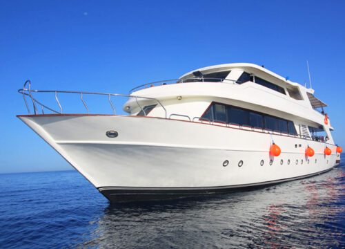 Private individual boat trip