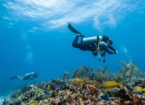 Full-day boat trip with 2 dives