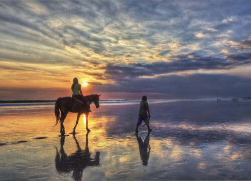 Red Sea and Desert Horseback Riding Tour with Swimming 1 or 2 hours